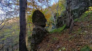 Moai