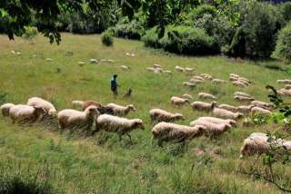 Stretnutie s 'eko' kosačkami, ktorých mliečne výrobky sa chystáme nakúpiť