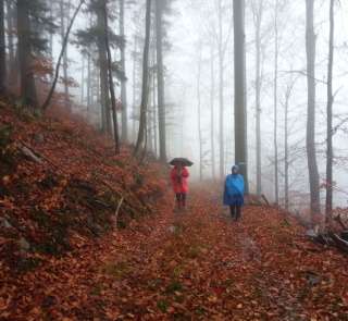Konečne sme sa prešli na lepšiu trasu