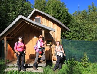 Zopár našich včeliek pri včelej saune