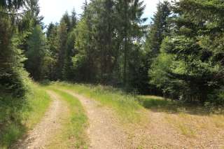 Dolina Hutného potoka