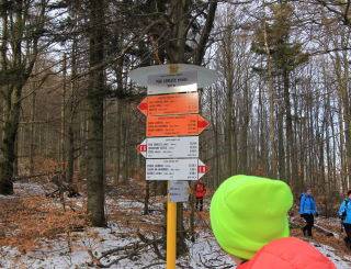 Pod vyhliadkou Loreley