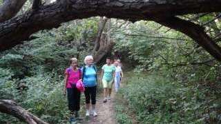 Prechádzame pralesom na Zlatú podkovu