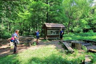 Kikapa - keby ste nevedeli, načo to má slúžiť