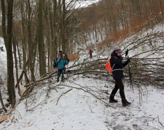 Zrejme tu počas nedávnej fujavice zafúkalo