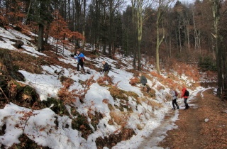 Ako srnky sa štveráme lesom a brodíme snehom