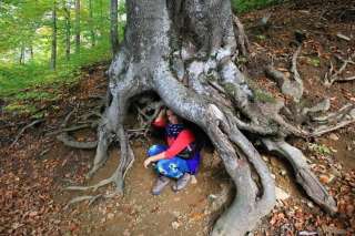 Monikina buková skrýša