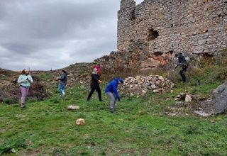 Vystrihávame náletové dreviny