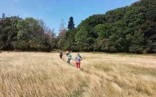 Nádherné lúky na Borčianskej planine