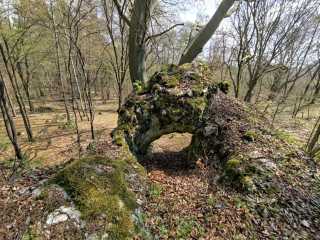 Zbojnícka skala s oknom