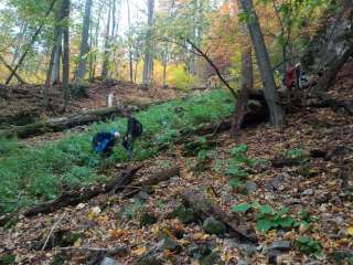 Kráčame s úsmevom