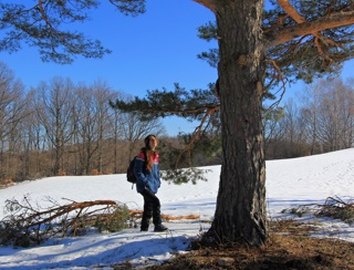 Barbarka sa oboznamuje s posolstvom borovice