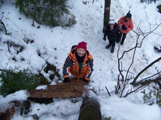 Zľadovatelý rebrík