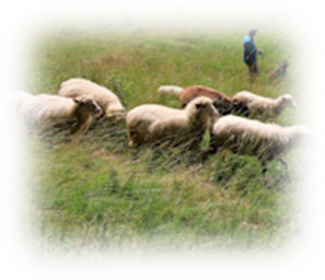 Pietna spomienka na Lajoške