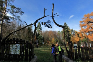 Včely raja – príjemné miesto