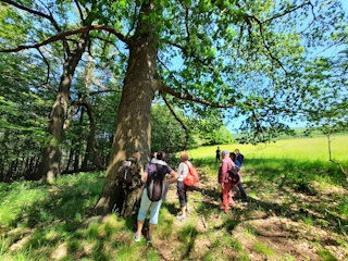 So sprievodcom na NCH