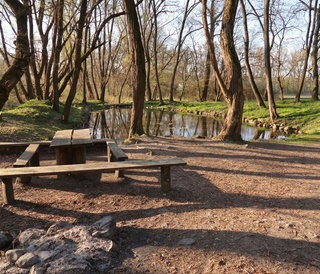 Jazierko pri Kosceleku