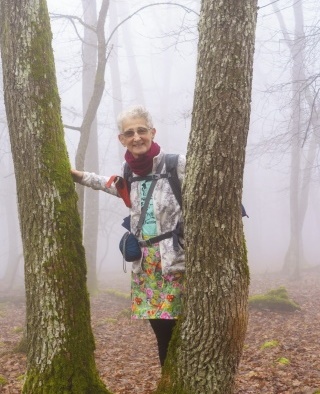 Cestou necestou k lomu Dvorníky-Včeláre