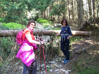 Časť chodníka je zavalená popadanými stromami