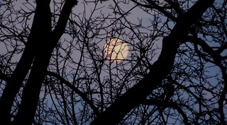 Fotoskríbačo s Mesiacom