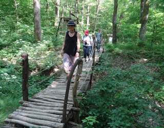 NCH Les ako ekosystém