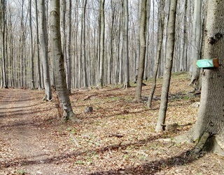 NCH Ku Kráľovej studni