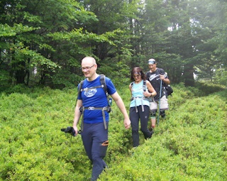 Prechod čučoriedkovým poľom