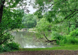 Šírava južný breh - rezervácia vtáctva