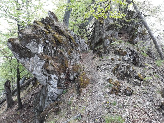 Bokšovské skaly