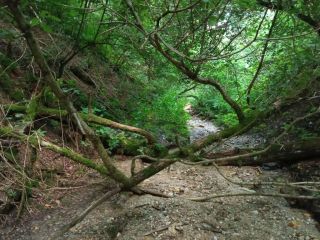 Ďalej je dolinka zasypaná stromami a okrúhliakmi