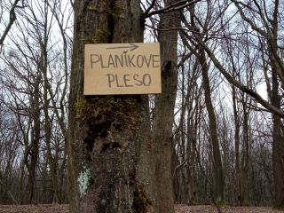 Tabuľa pri plese