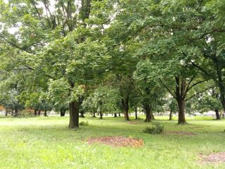 Park s kaštieľom