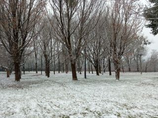 Park z listnatých stromov