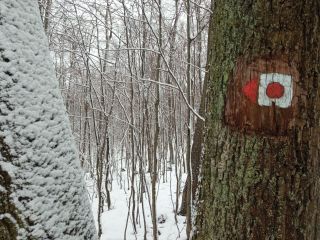 Červená značka