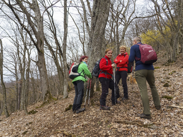 Strmo hore na Horný vrch