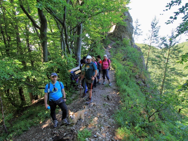 Pod Sokolovou skalou