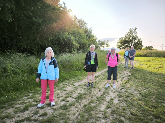 K lesu nad Lorinčíkom