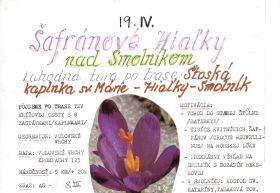 Šafránové hiaľky nad Smolníkom