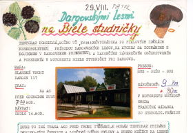 Dargovskými lesmi na Biele studničky