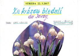 Za krásou bledulí