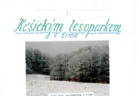 Košickým lesoparkom v zime