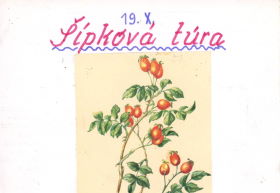 Šípková túra