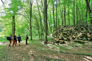 Televíkend 4.6.2022. K prameňu Miglinca.