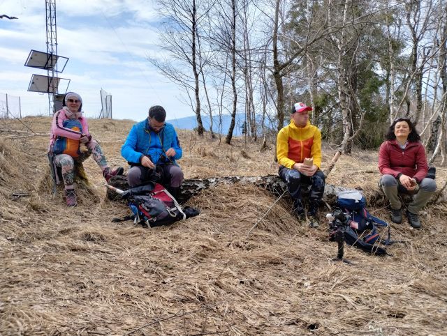 Televíkend 24.3.2023. Okraj brezového hája na Jeleňom vrchu.